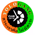 YoloLogoGang - old