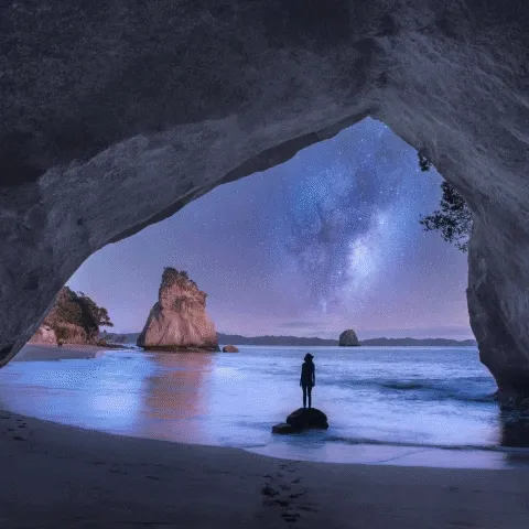 Rach Stewart Visual Journey - Foundation Collection