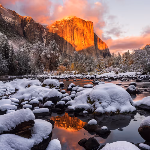 BAY photography manifold 1/1