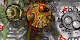 The human skeleton of covid will never die