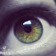 The Vision Of illusion