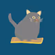 Flying cat goes everywhere