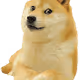 Dogecoin Hispano