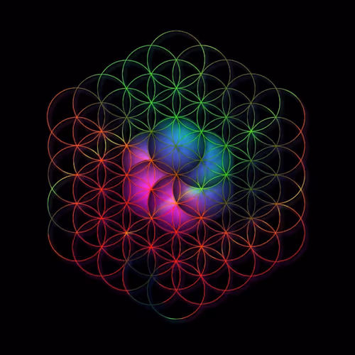 AIYAYAI - Flutterbies