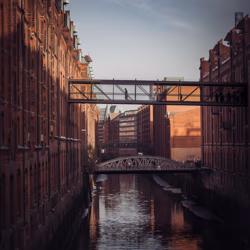 Sir Tificate Editions