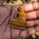 Golden_pearl_LK