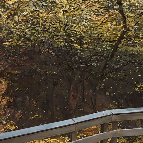 Shirakami Mountains