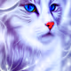 The Cats World