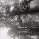 Nature poetry - old