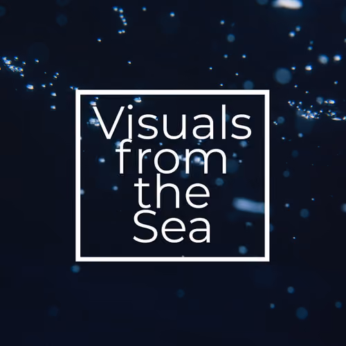 Visuals from the Sea by Julia Ochs