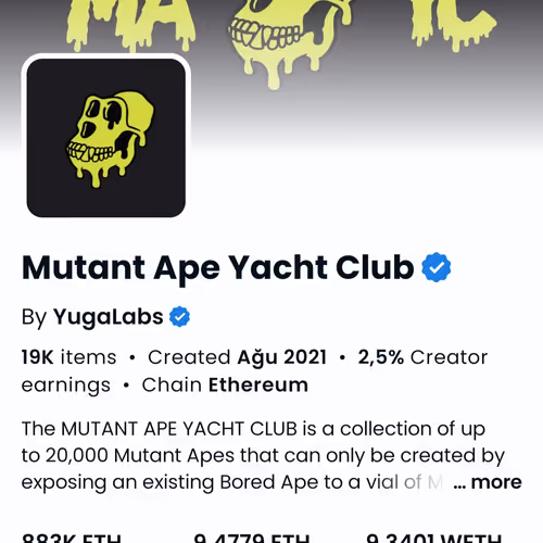Nft King Account