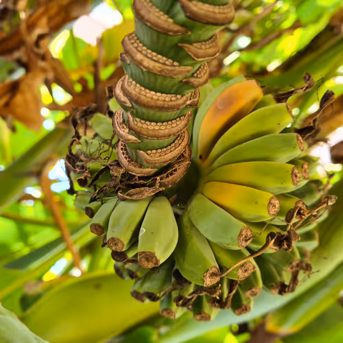 Street photography in colour
