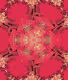 Pixel-Scope Life Collection