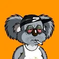 Drop Bears Official