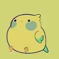 CRYPTO_BIRDS