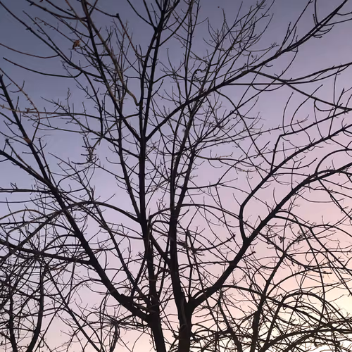 Photography by H.Skiii