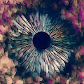 Eyemagination Collection