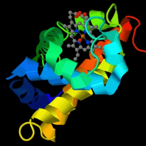 Protein - replication, influence, and limit