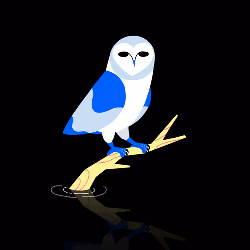 Barn Owl Magic - old