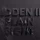 Hidden In Plain Sight (HIDNSIGT)