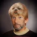 Teddy Camper