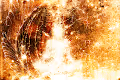 burning ego