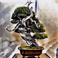 Bonsai Wabi-Sabi - old