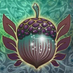 Turquoise Nut Collection