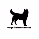 Dogs from metaverse
