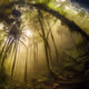 Nature by Ai.