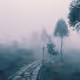 The Silence of Fog