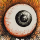 ShiningEyes