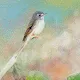 FlyingColors