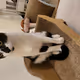 cat - 1IvDdLXnnU