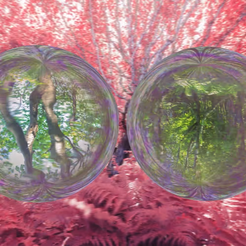 Reality in Movement x Editions