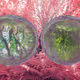 Reality in Movement x Editions