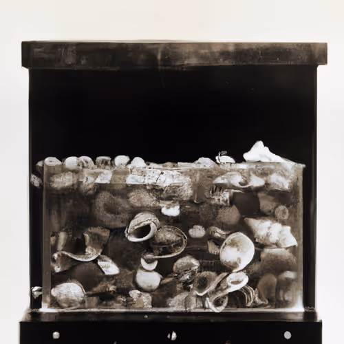 Deconstructions by Matt Kane