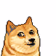 OfficialNFDoge