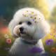 Bichon by Clavell