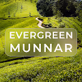 Evergreen Munnar - old