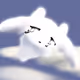 NATCAT_Lab