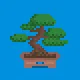 Bonsai Garden