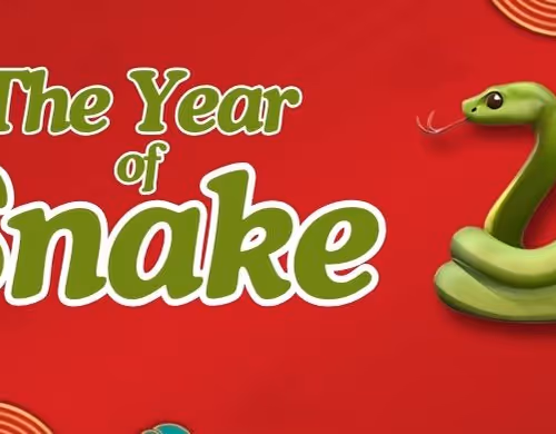 The Year of Snake