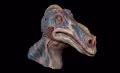 Creature from the West
