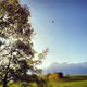 Landscapes from 2012 (Original Photo Art)