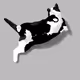 Cat_kkmyy