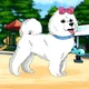 Snowly Dog
