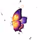 NFT-ART by EchuPARK,  Butterfly Dreams-cosmos_02, 2023