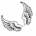Crypto Angels