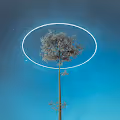 The Phylo Collection: Grasslands